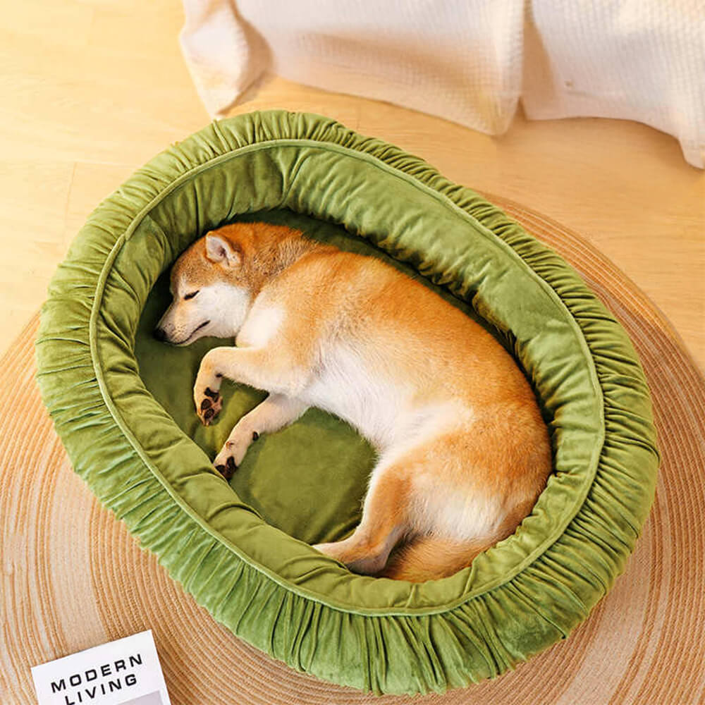Comforting orthopedic dog bed, oval shape, with a washable velvet cover for ultimate pet relaxation.