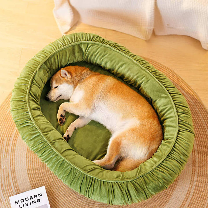 Comforting orthopedic dog bed, oval shape, with a washable velvet cover for ultimate pet relaxation.