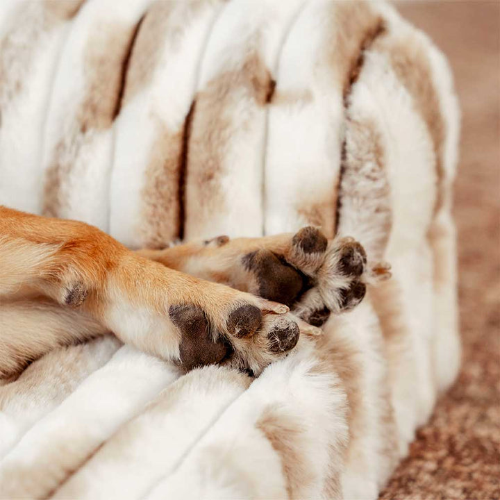 Striped orthopedic pet bed for dogs & cats, supportive bolster, faux fur comfort, non-slip base