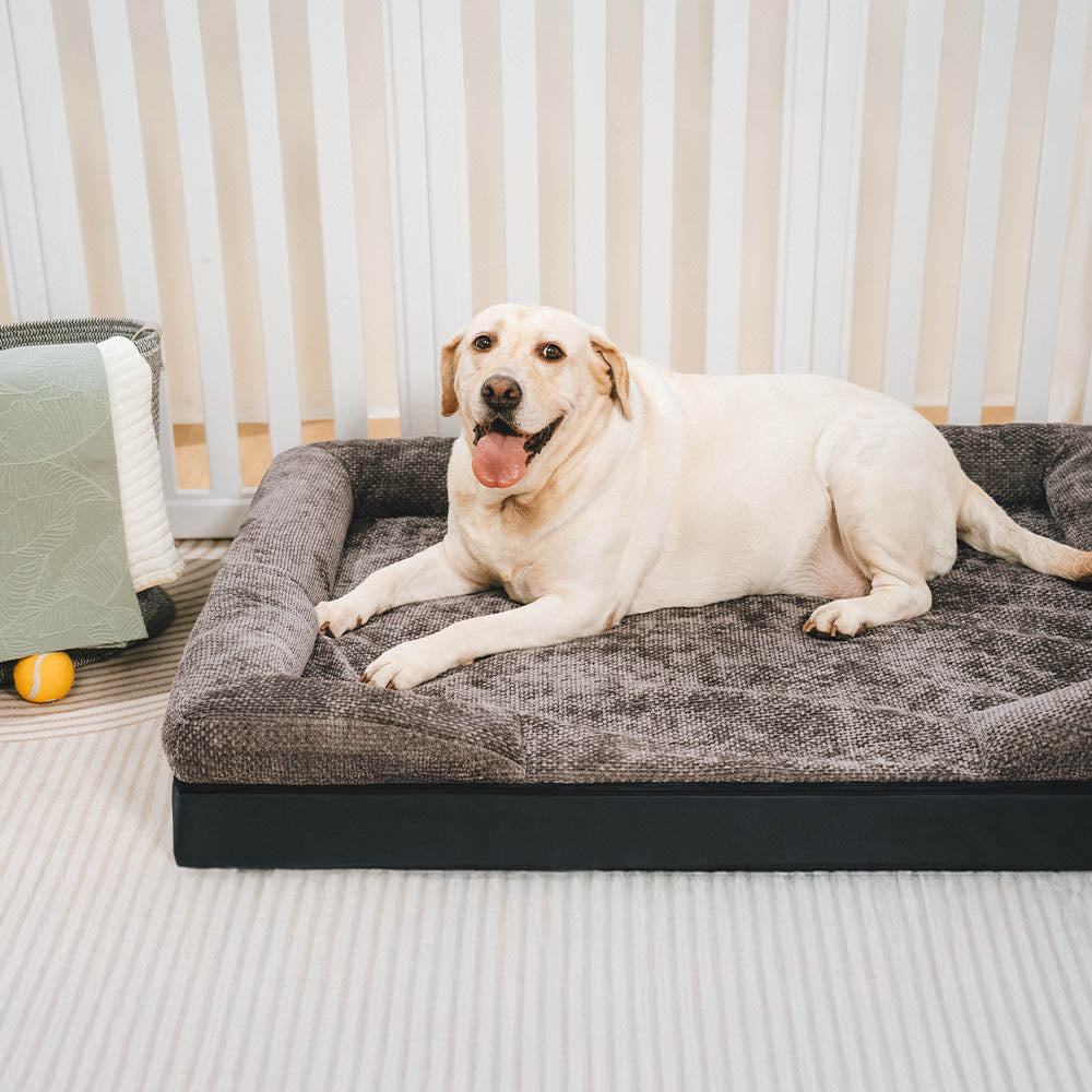 Washable orthopedic dog bed in a modern design, supporting pet joint health and easy maintenance
