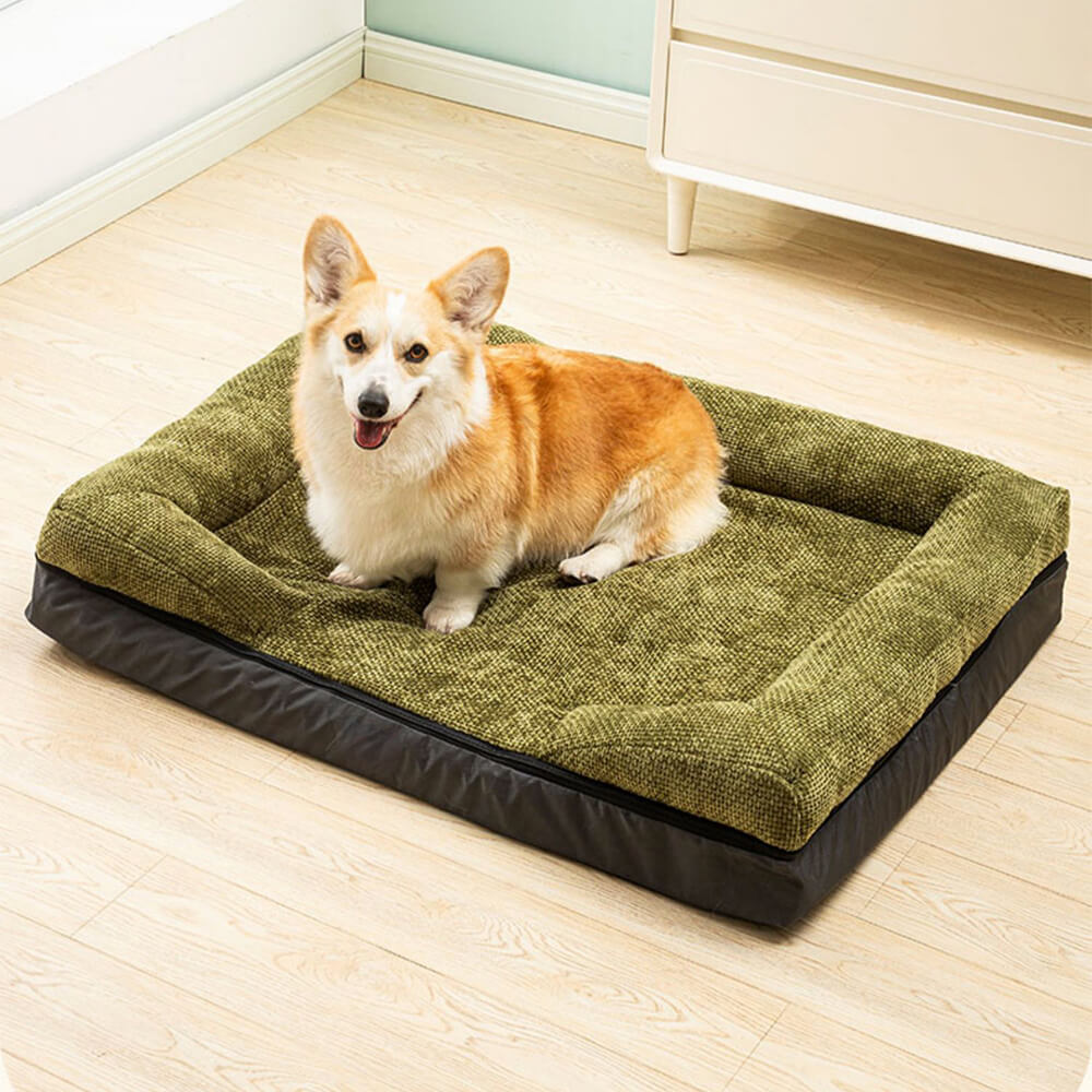 Supportive orthopedic cat bed, durable and washable, ideal for aging pets or joint relief
