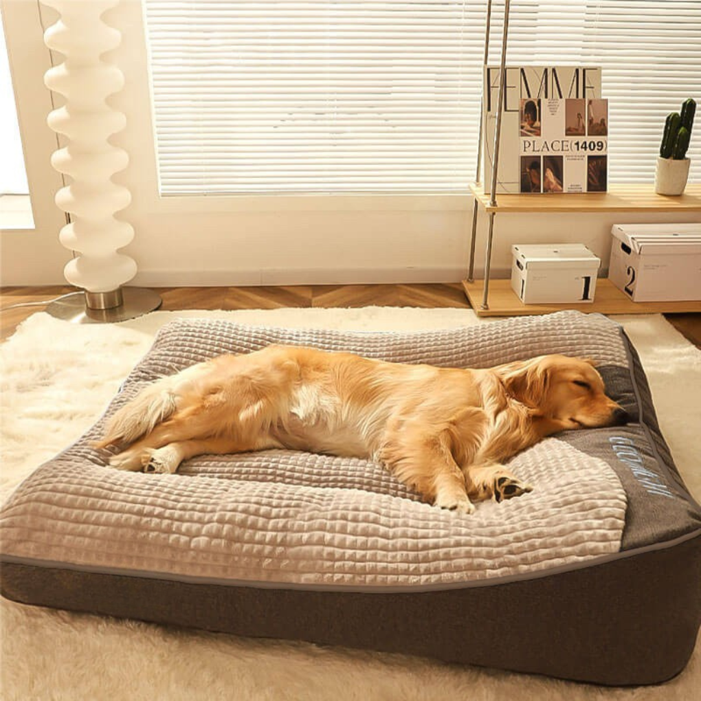 Orthopedic scratch-resistant dog bed providing spine support for a large dog