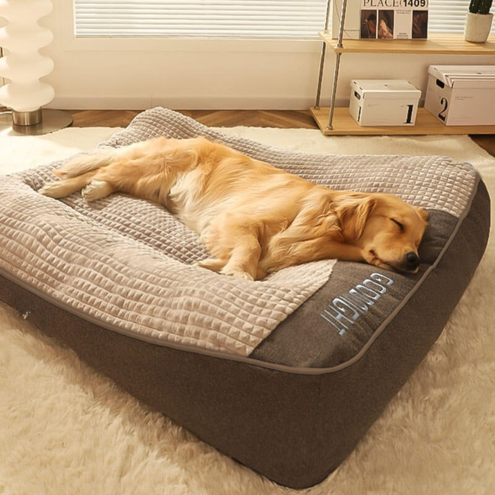 Large dog peacefully sleeping on an orthopedic dog bed with spine support