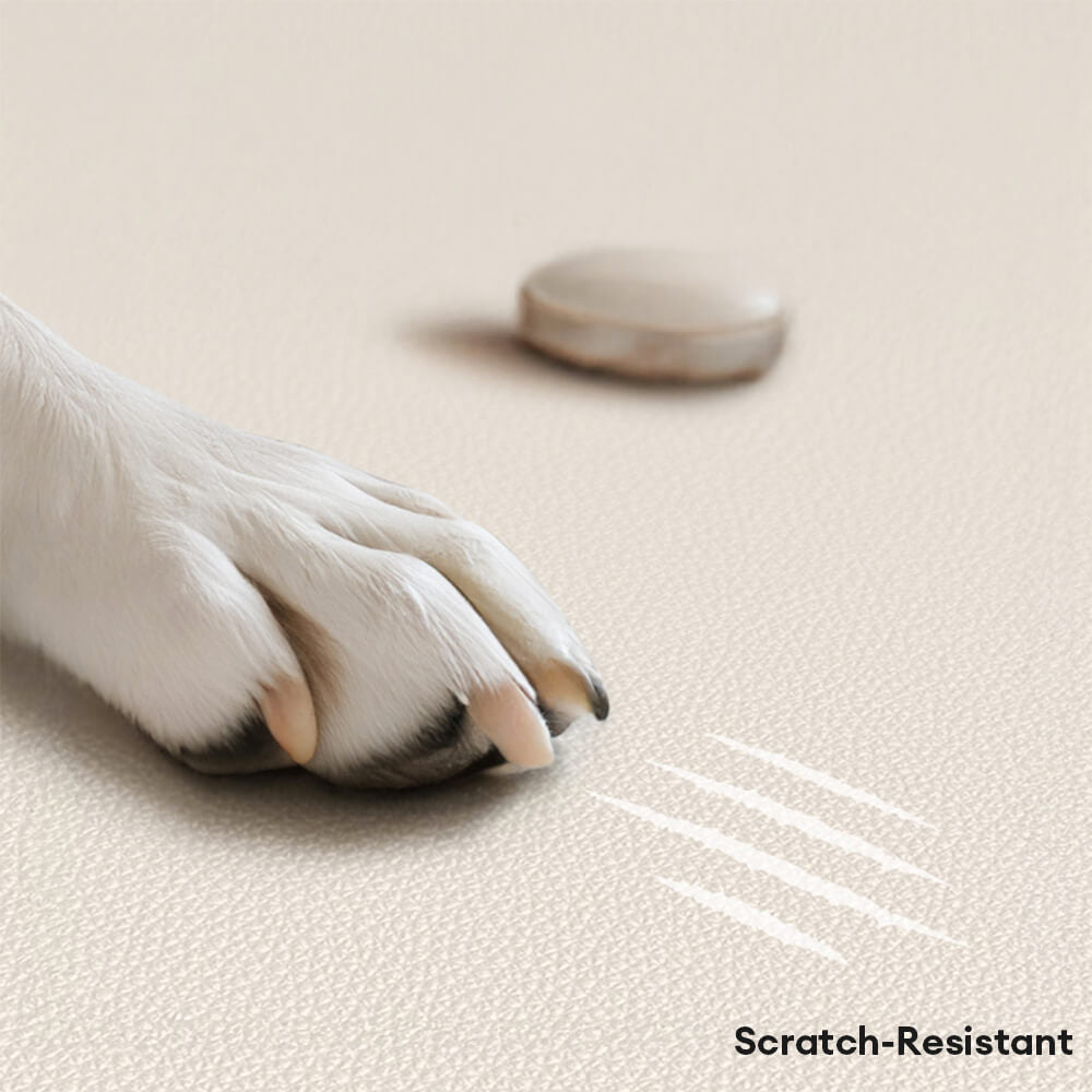 Scratch resistant pet sofa bed, natural latex core, comfortable orthopedic bed for dogs and cats