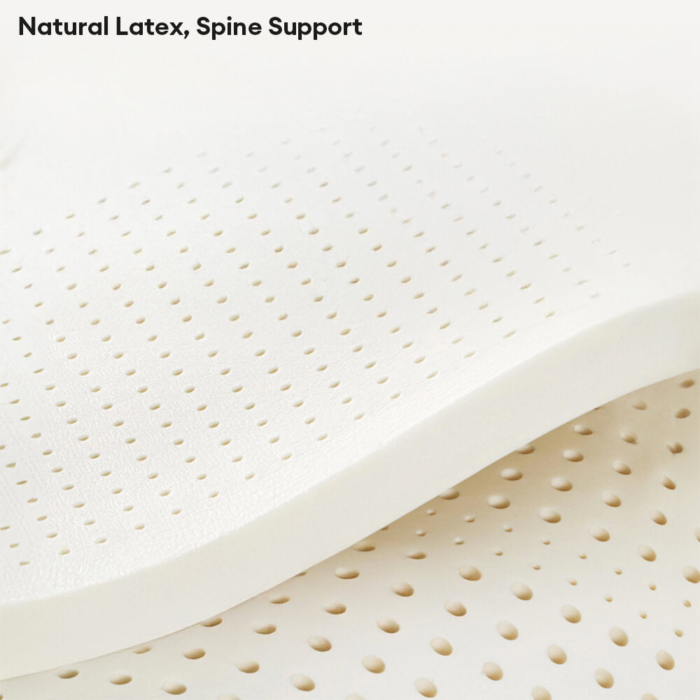 Dog bed with natural latex, orthopedic support, durable and comfortable pet furniture for cats