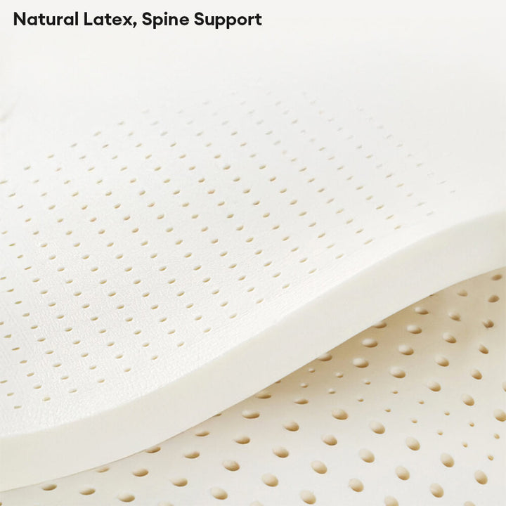 Dog bed with natural latex, orthopedic support, durable and comfortable pet furniture for cats