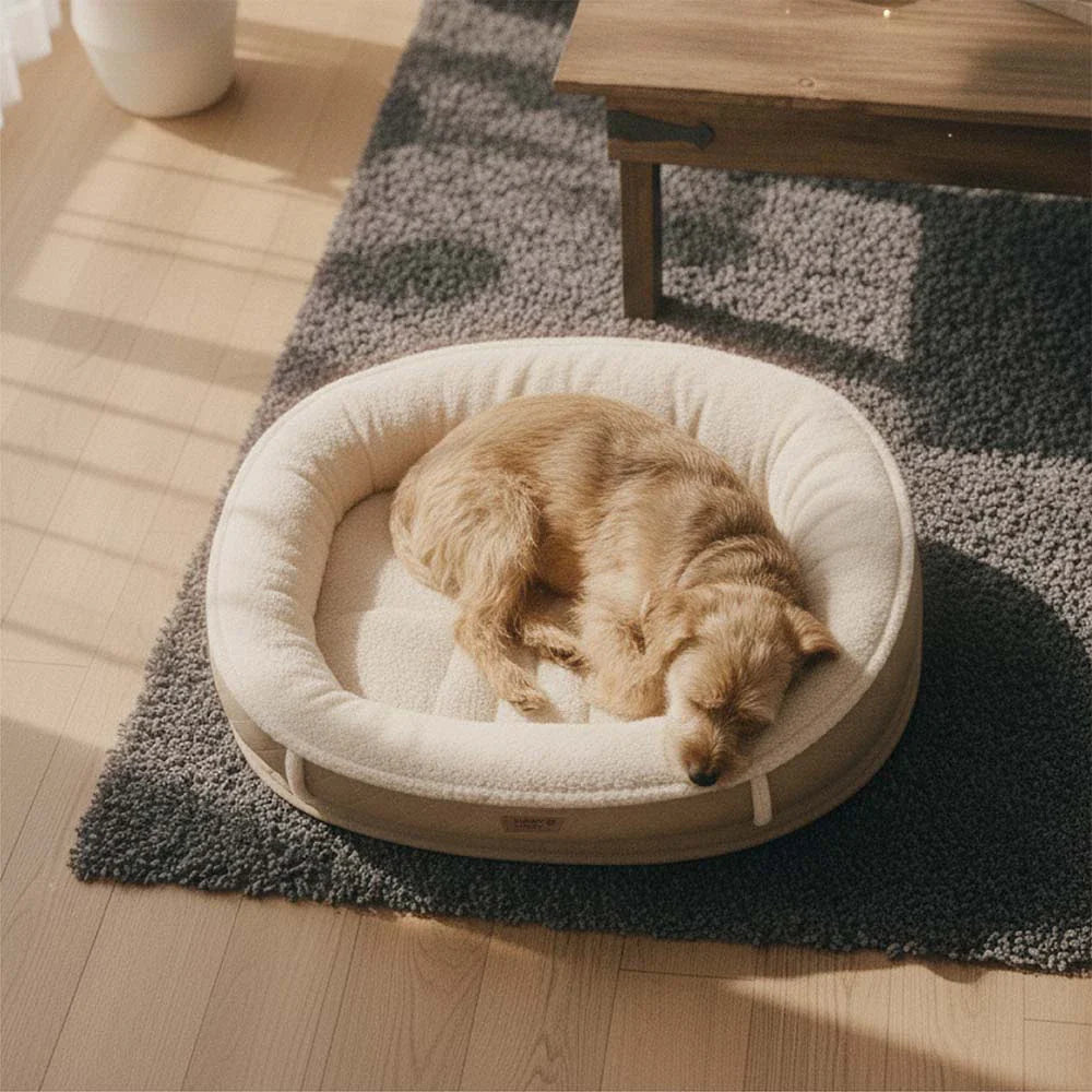 Washable dog bed with a fully removed cover, highlighting easy care and hygiene