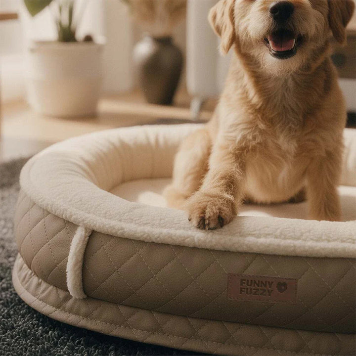 Pet bed displaying anti-slip bottom, ensuring stability on various floor surfaces