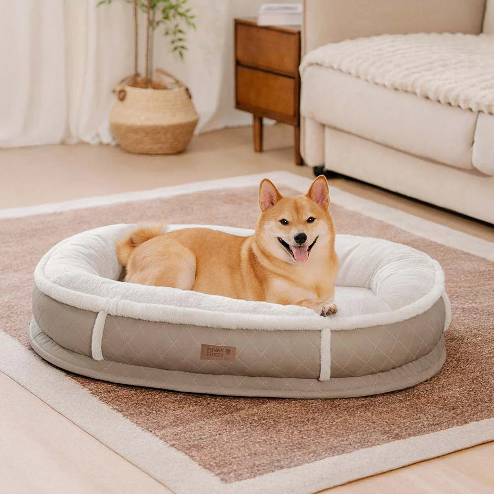 Luxury orthopedic pet bed in a living room setting, blending with home decor