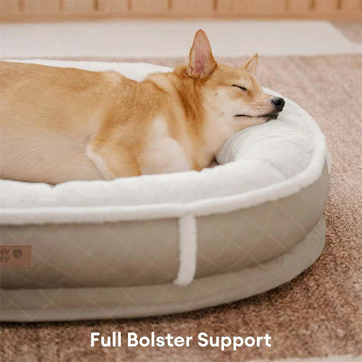 Small dog sleeping soundly in a round gray calming pet bed, comfortable and supportive