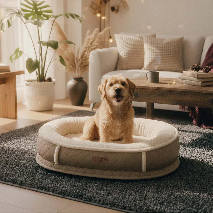 Detail of orthopedic foam layer inside the pet bed, showing comfort and joint support