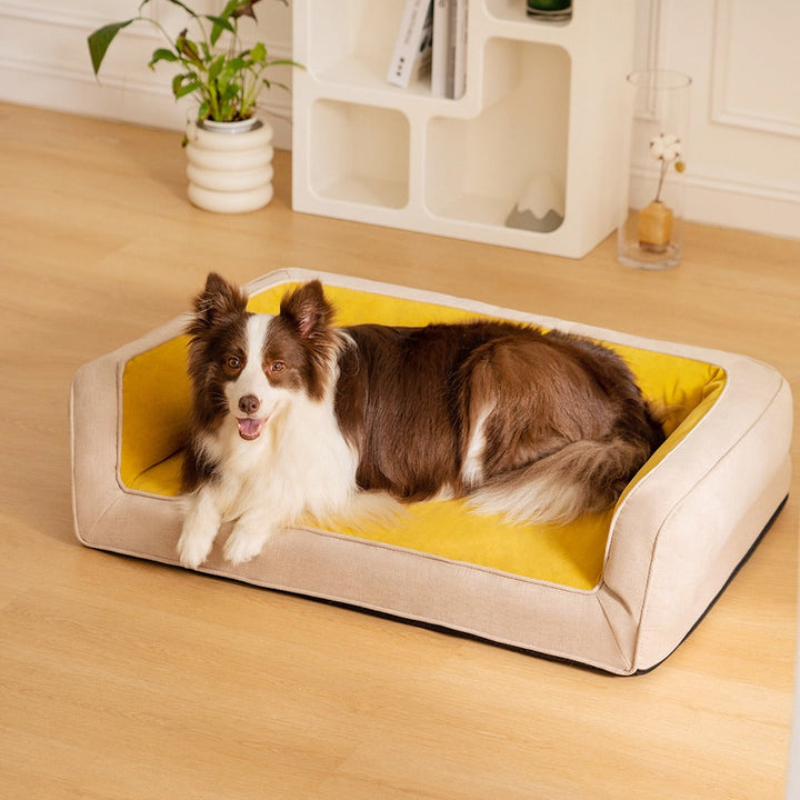 Orthopedic soft dog sofa bed in a living room, providing joint support for pets.