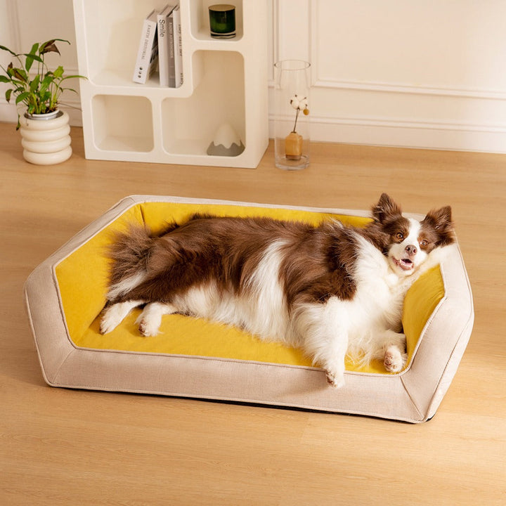 Closeup of a cozy, washable orthopedic dog bed, highlighting its soft fabric and sturdy design.
