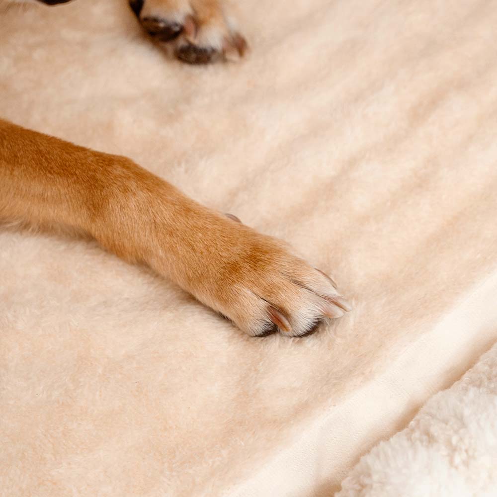 Unisex striped pet bed, perfect for small to large dogs & cats