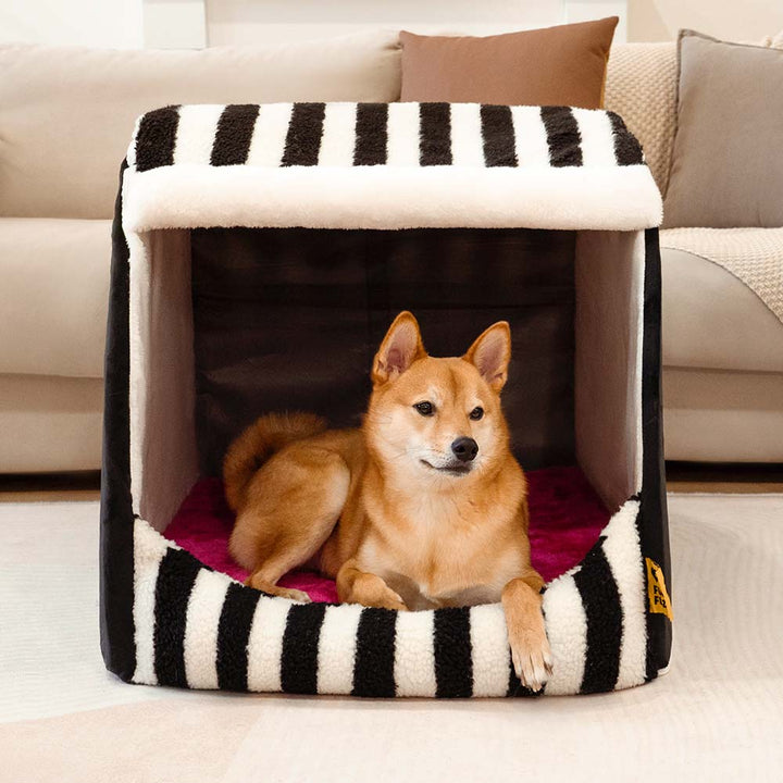 Striped pet furniture, combining style and orthopedic support