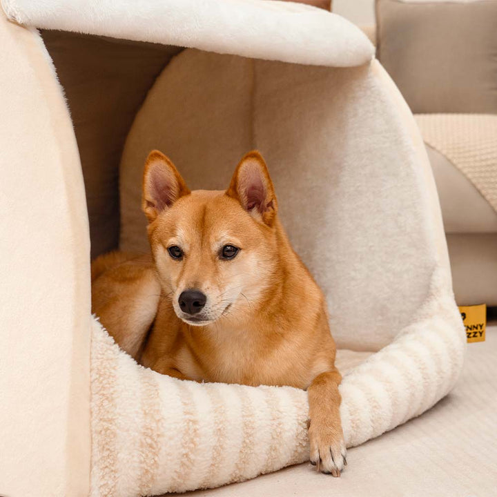 Orthopedic dog bed, featuring a classic striped design & comfort