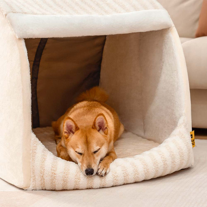 Striped cat bed, providing orthopedic comfort & cozy retreat for pets