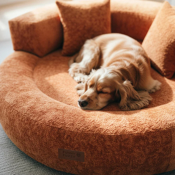 Small dog peacefully sleeping in a plush, orthopedic velvet donut bed with soft pillows.