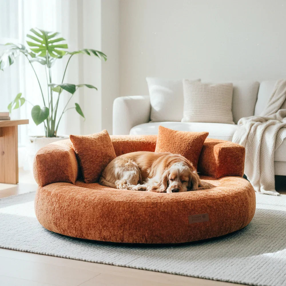 Velvet donut dog bed: orthopedic support, calming design with plush pillows, a pet essential.