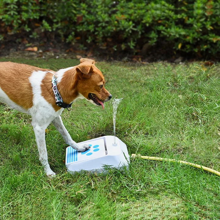 Outdoor dog drinking fountain with paw button for easy, automatic pet hydration in garden.