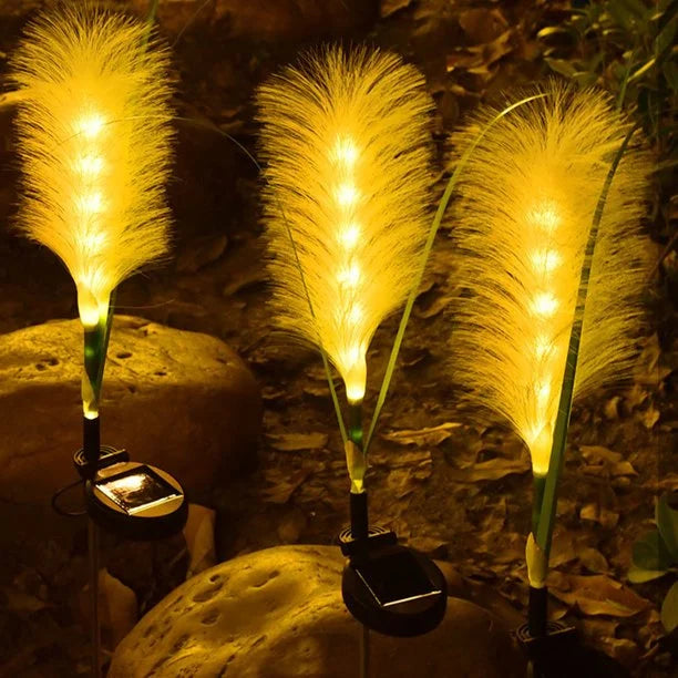 Waterproof solar reed garden lights, offering sustainable and decorative outdoor lighting solutions.