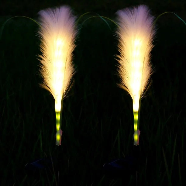 Group of solar decorative reed lights, creating a soft glow for garden and outdoor decor.