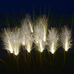 White light