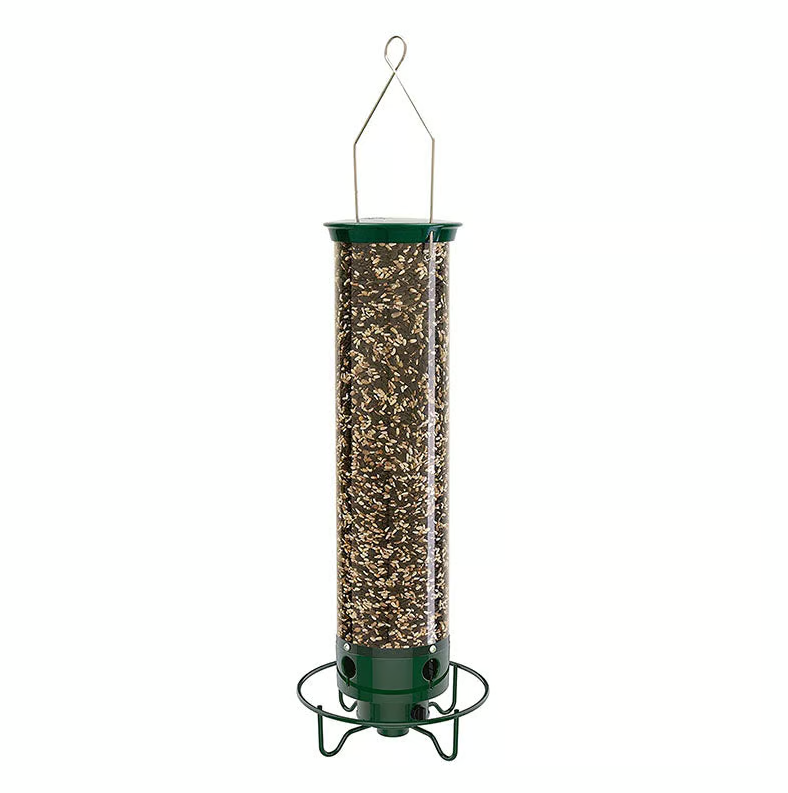 Modern squirrel-proof bird feeder with wide feeding tray, accommodating multiple wild birds outdoors