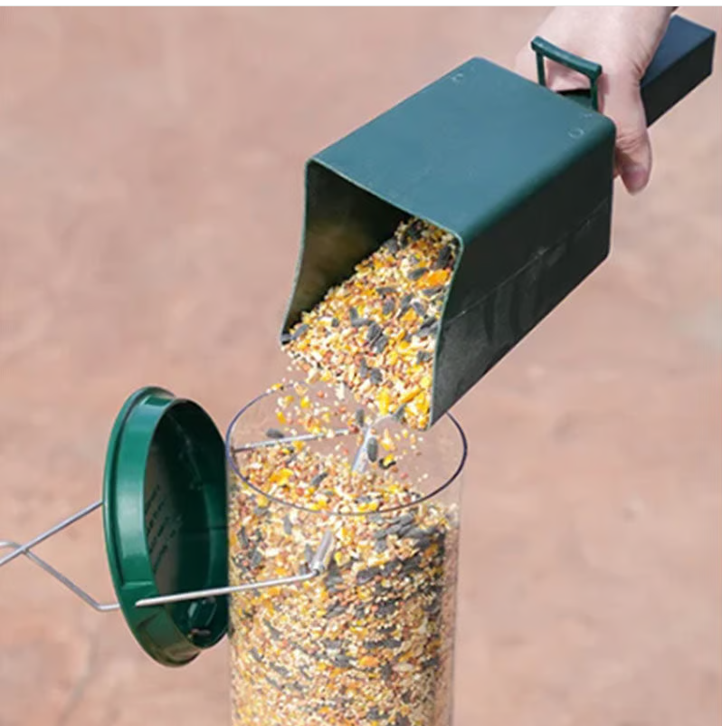 Bird feeder with squirrel-resistant design, hanging in a garden, attracting various wild birds