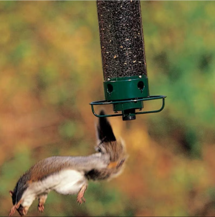 Weather-resistant squirrel-proof bird feeder made of heavy-duty materials for garden wildlife