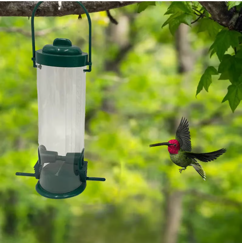 Green squirrel-proof bird feeder in a natural garden setting, protecting seeds from wildlife