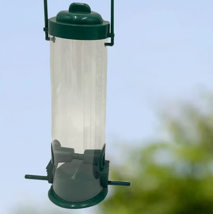 Hanging squirrel-proof bird feeder on a tree branch, providing safe feeding for garden birds