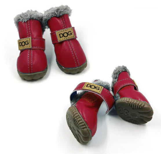 Puppy standing on ice, paws protected by cozy, waterproof dog boots