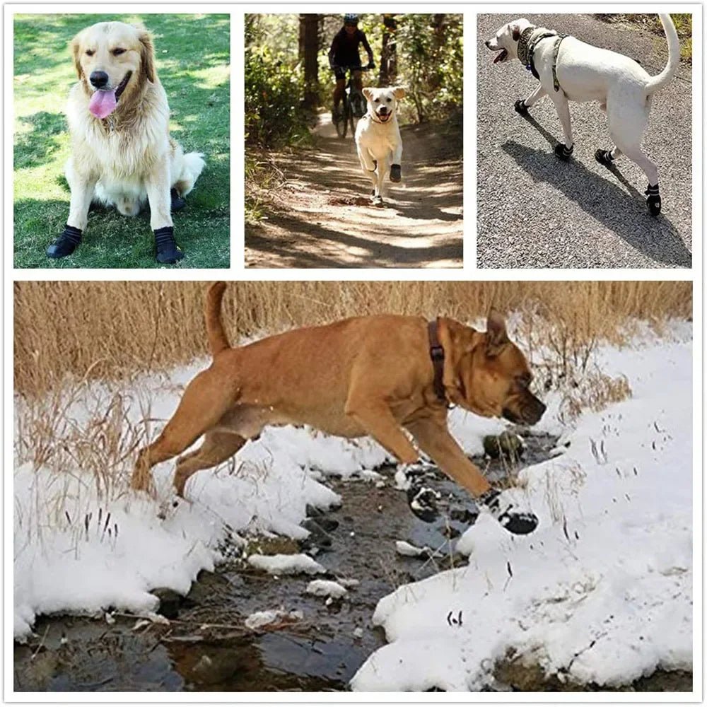 Four reflective waterproof dog boots for all-season paw protection on various terrains.