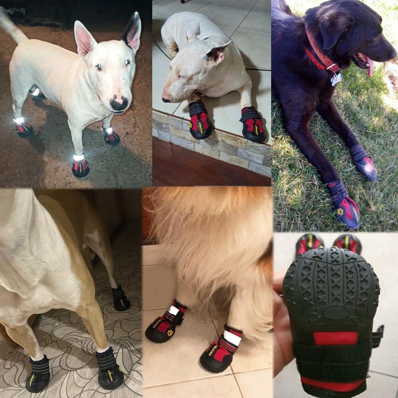 Non-slip dog boots in black, designed for all-season outdoor adventures and paw safety.
