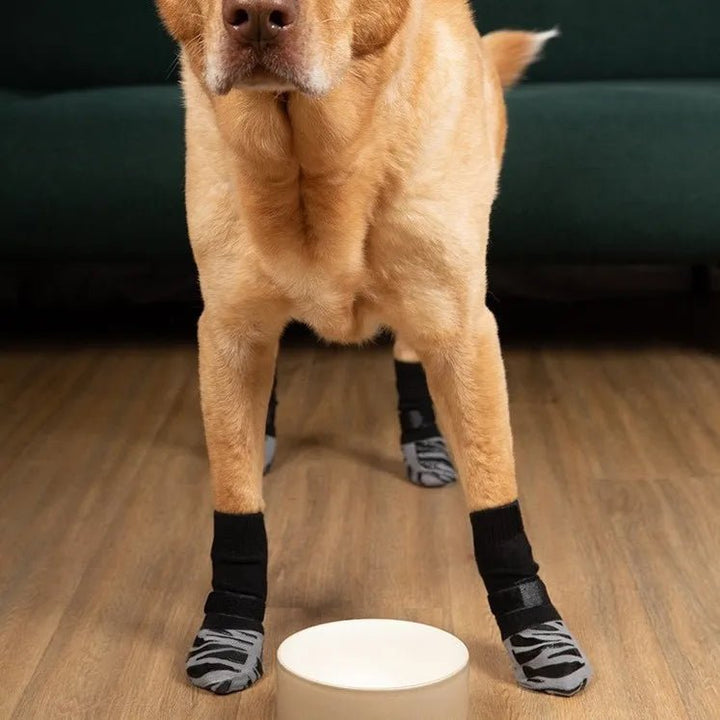 Pair of blue anti-slip dog socks with black paw print for enhanced grip and paw protection.