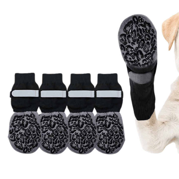 Four anti-slip dog socks in various colors (blue, red, black) protecting dog paws from slipping indoors.