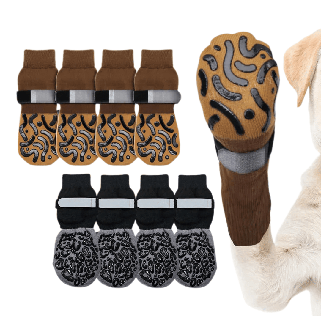 Dog wearing anti-slip pet footwear, grey socks with silicone grips, for indoor paw protection.