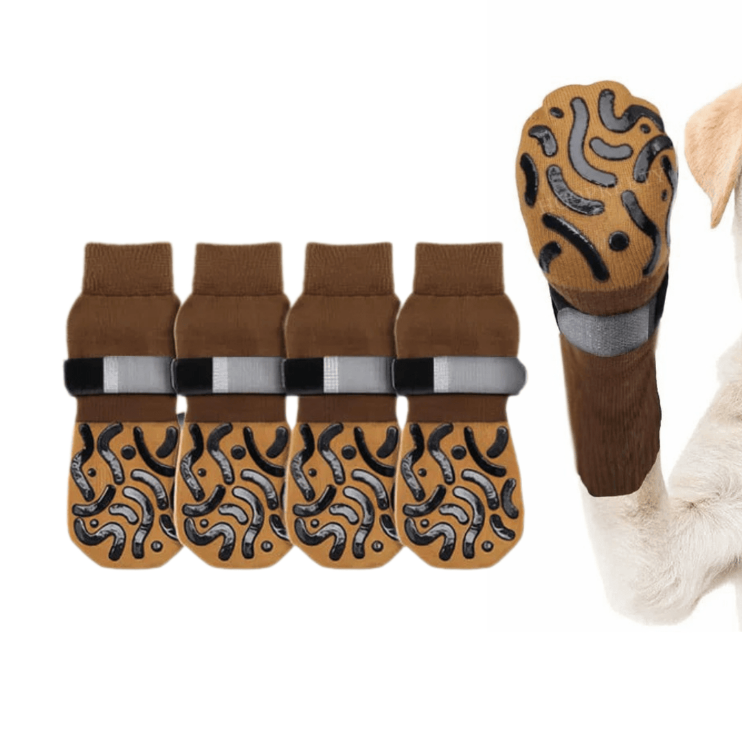 Set of dog accessories: anti-slip pet socks in a pet supplies basket, essential for senior dog paw care.