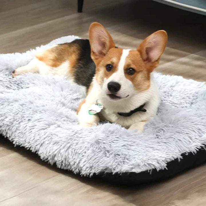 Washable dog bed, Paw-Soft Deluxe Pet Comfort Mat, reversible design for easy cleaning