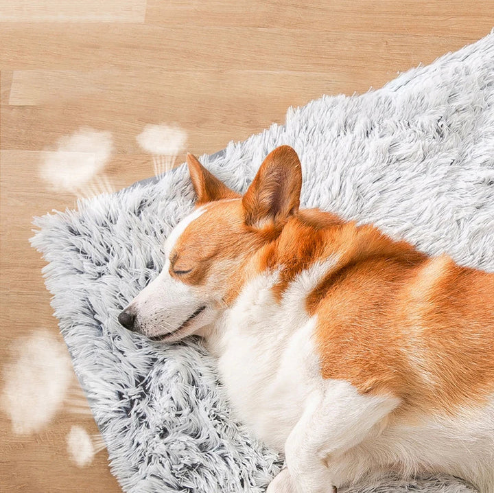 Soft pet mat, reversible Paw-Soft Deluxe for floor protection & animal bedding