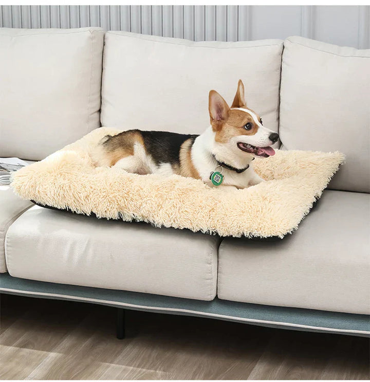 Paw-Soft Deluxe Reversible Pet Comfort Mat, a cozy, plush dog bed for your pet