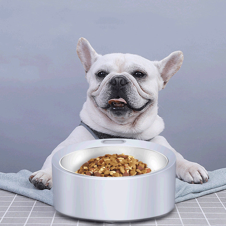 PawScale large capacity electronic dog feeder with integrated smart scale and stainless steel bowl.