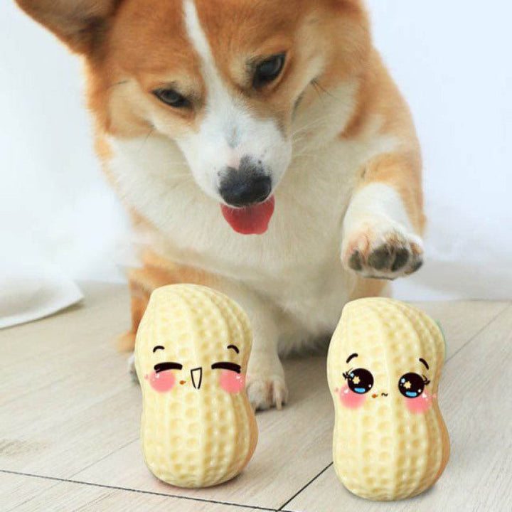 Peanut shape dog chew toy with built-in squeaker for interactive play and dental health.