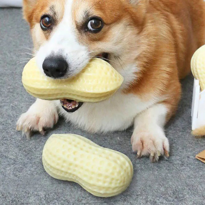 Durable peanut dog toy with squeaker, perfect for pet enrichment and canine dental care.