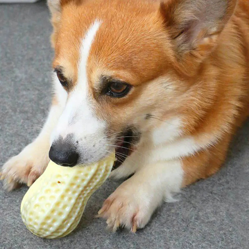 Tough peanut shape dog toy with internal squeaker, a great accessory for pet dental care.