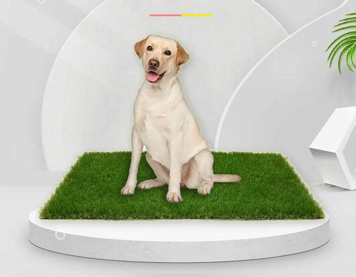 Pet Artificial Grass Training Mat with leak protection for indoor dog potty training. Easy clean odor control.