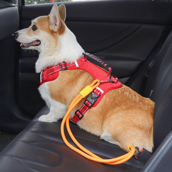 Pet car safety seat belt leash for dogs, adjustable nylon, for secure car travel