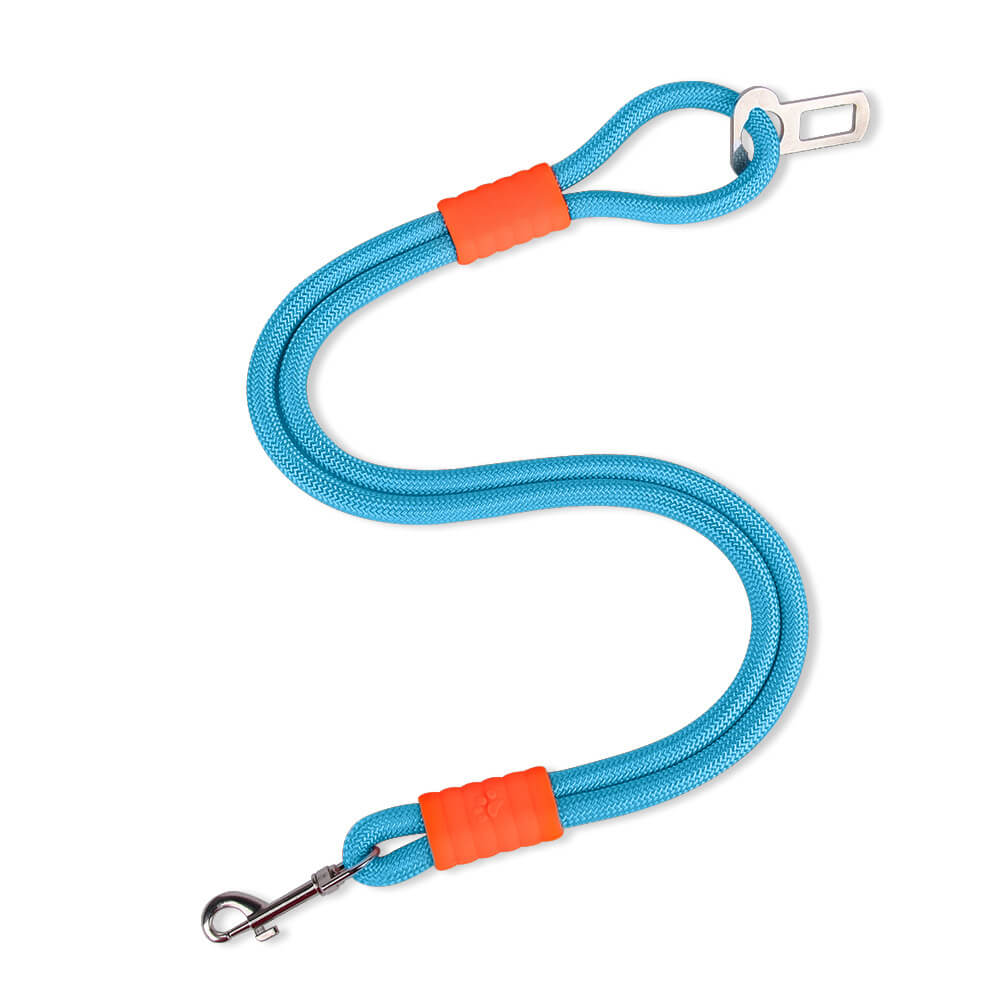 Instructional image of pet car safety seat belt leash installation for secure travel