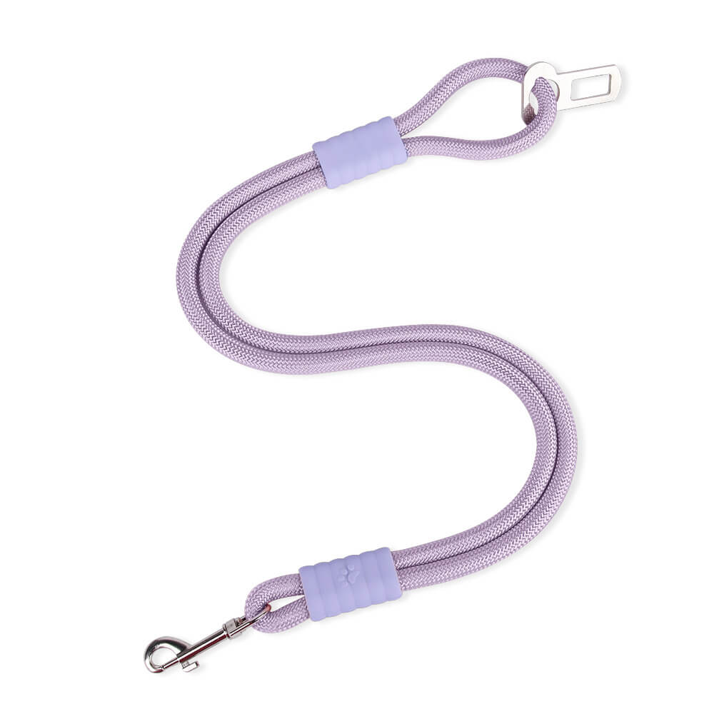 Pet car seat belt leash, a crucial travel essential for keeping dogs safe in cars